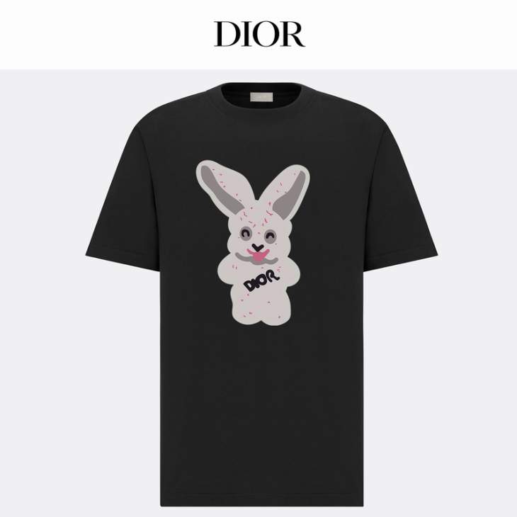 Dior T Shirts Short _SKUDiorXS-Lxetr10615456